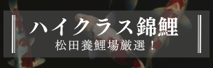 InCNXь