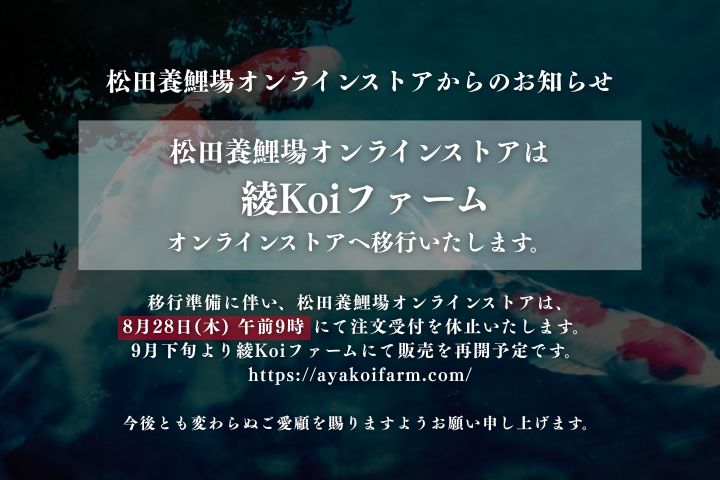 m点